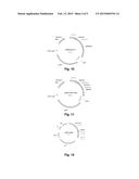 POLYPEPTIDES HAVING ALPHA-AMYLASE ACTIVITY AND POLYNUCLEOTIDES ENCODING     SAME diagram and image