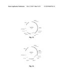 POLYPEPTIDES HAVING ALPHA-AMYLASE ACTIVITY AND POLYNUCLEOTIDES ENCODING     SAME diagram and image