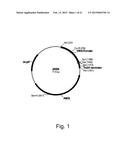 Methods of increasing secretion of polypeptides having biological activity diagram and image