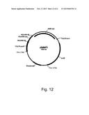 Methods of increasing secretion of polypeptides having biological activity diagram and image