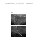 METHOD FOR SELECTIVE CELL ATTACHMENT/DETACHMENT, CELL PATTERNIZATION AND     CELL HARVESTING BY MEANS OF NEAR INFRARED RAYS diagram and image