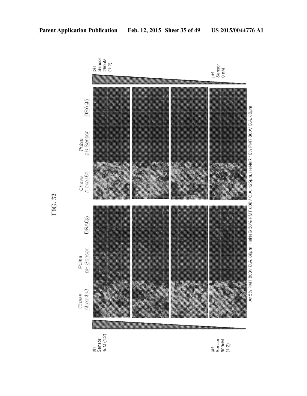 pH SENSORS - diagram, schematic, and image 36