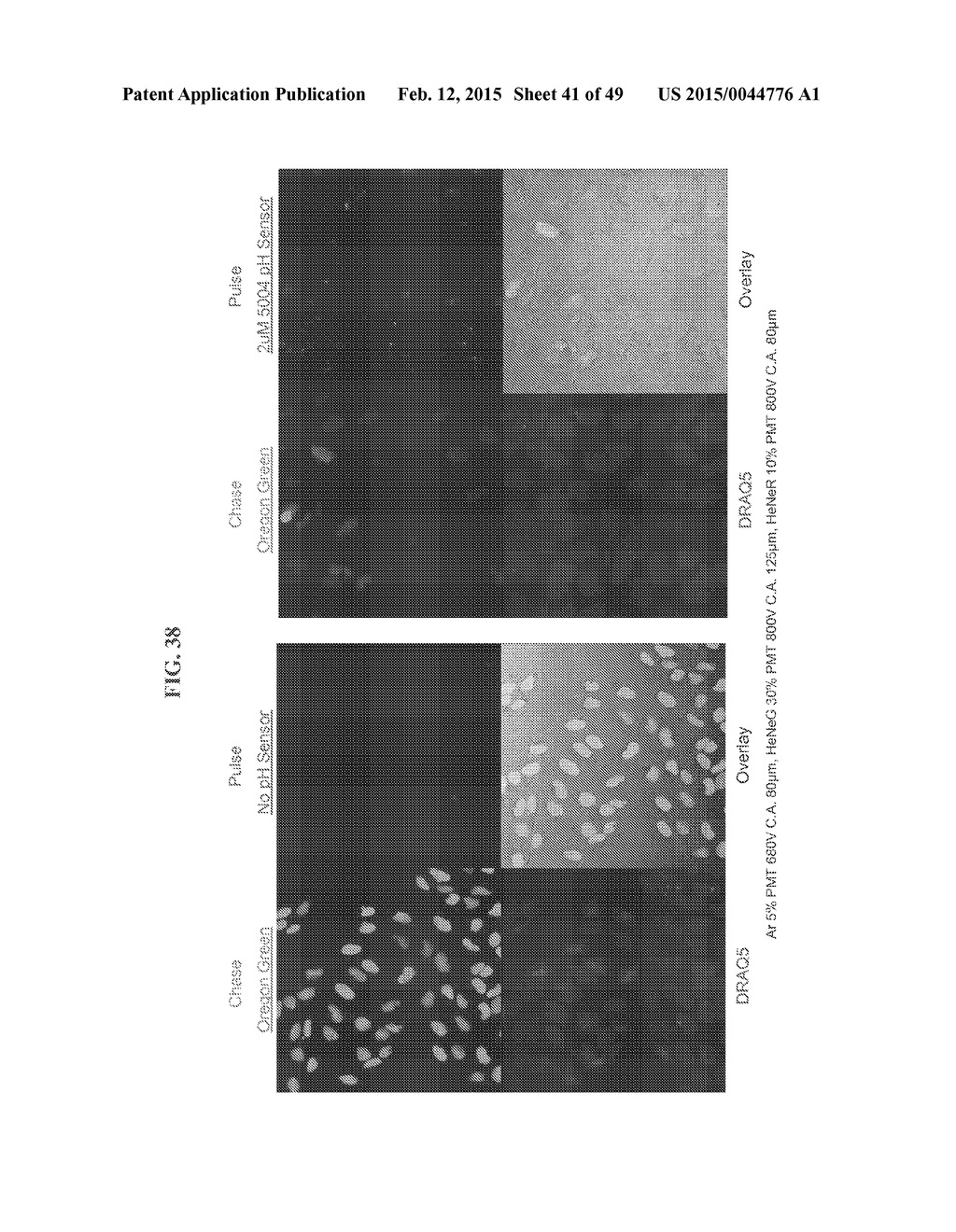 pH SENSORS - diagram, schematic, and image 42