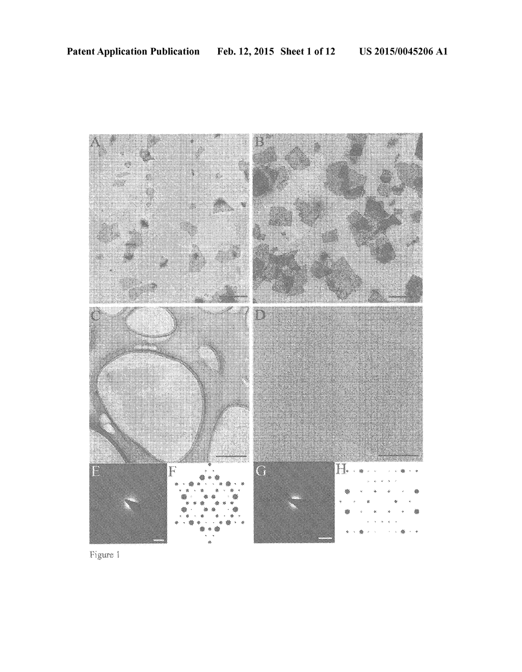 ZEOLITE NANOSHEET MEMBRANE - diagram, schematic, and image 02