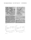 ZEOLITE NANOSHEET MEMBRANE diagram and image