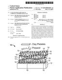 CLAY-CONTAINING THIN FILMS AS CARRIERS OF ABSORBED MOLECULES diagram and image