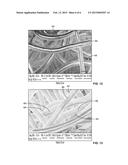 CLAY-CONTAINING THIN FILMS AS CARRIERS OF ABSORBED MOLECULES diagram and image