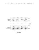 Endometrial Phase or Endometrial Cancer Biomarkers diagram and image