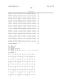 Endometrial Phase or Endometrial Cancer Biomarkers diagram and image