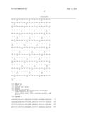 Endometrial Phase or Endometrial Cancer Biomarkers diagram and image