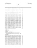 Endometrial Phase or Endometrial Cancer Biomarkers diagram and image