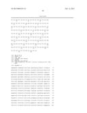 Endometrial Phase or Endometrial Cancer Biomarkers diagram and image