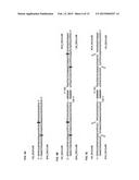 METHODS AND TRANSPOSON NUCLEIC ACIDS FOR GENERATING A DNA LIBRARY diagram and image