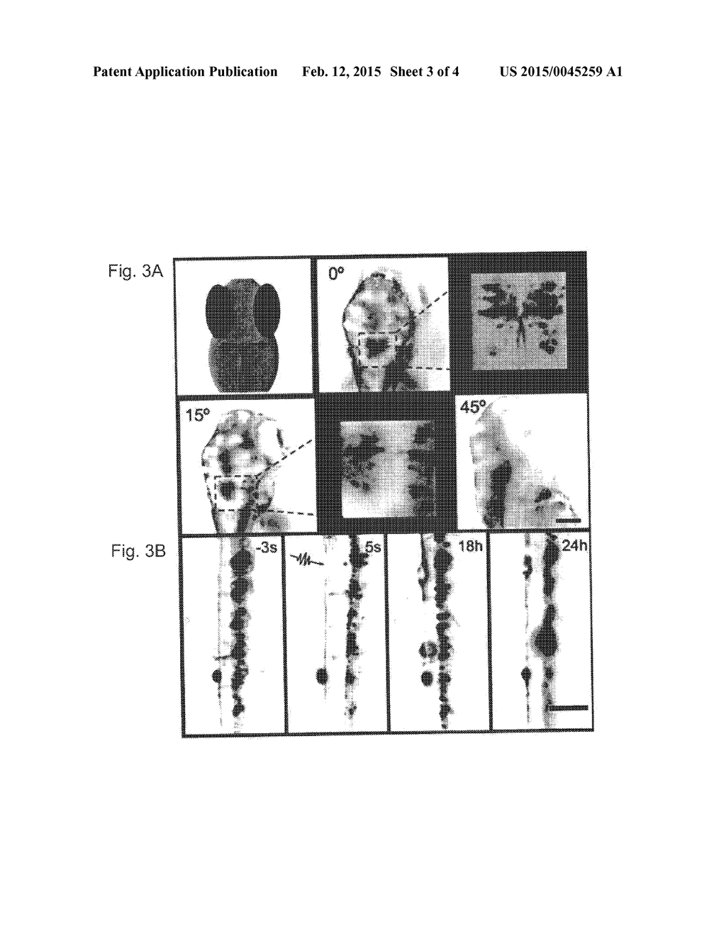 HIGH-THROUGHPUT PLATFORM FOR IN-VIVO SUB-CELLULAR SCREENS ON VERTEBRATE     LARVAE - diagram, schematic, and image 04