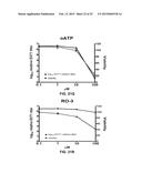 COMPONENT AND METHOD FOR TREATING VIRAL DISEASE diagram and image