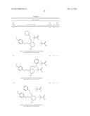 NOVEL PYRAZINE AMIDE COMPOUNDS diagram and image