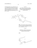 NOVEL PYRAZINE AMIDE COMPOUNDS diagram and image