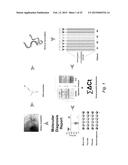 DIAGNOSTIC METHODS OF EOSINOPHILIC ESOPHAGITIS diagram and image