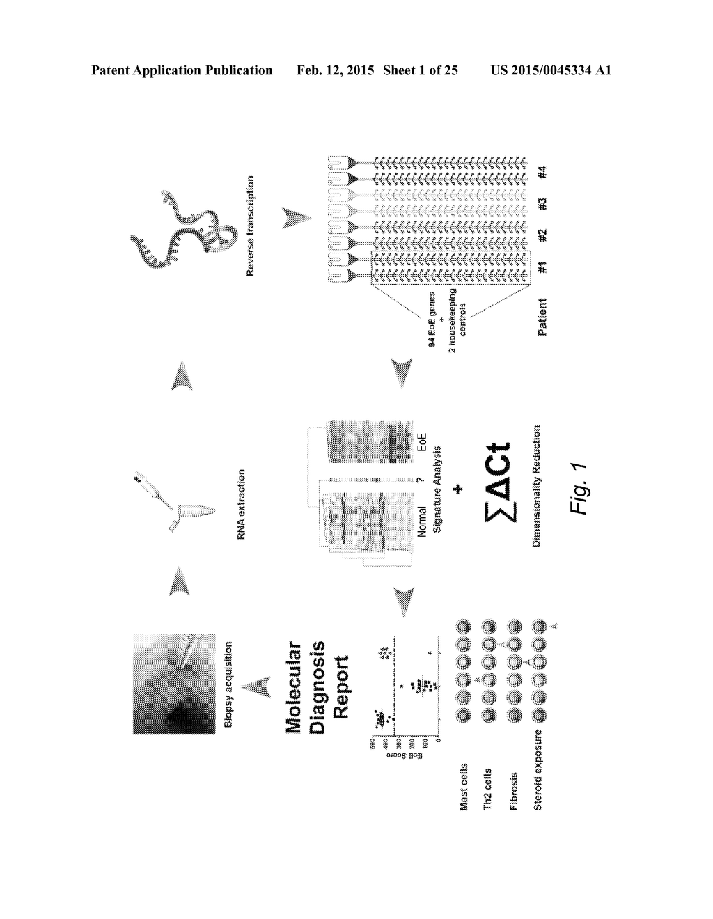 DIAGNOSTIC METHODS OF EOSINOPHILIC ESOPHAGITIS - diagram, schematic, and image 02