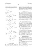 AMIDINE SUBSTITUTED BETA-LACTAM COMPOUNDS, THEIR PREPARATION AND USE AS     ANTIBACTERIAL AGENTS diagram and image