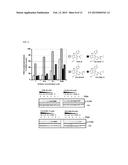 KINASE INHIBITORS diagram and image