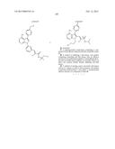 KINASE INHIBITORS diagram and image