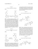 KINASE INHIBITORS diagram and image