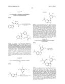 KINASE INHIBITORS diagram and image