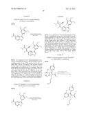 KINASE INHIBITORS diagram and image