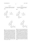 KINASE INHIBITORS diagram and image