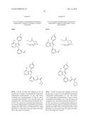 KINASE INHIBITORS diagram and image