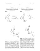 KINASE INHIBITORS diagram and image