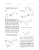 FUSED TRICYCLIC COMPOUNDS AS RAF KINASE INHIBITORS diagram and image