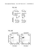 Hedgehog Pathway Inhibition for Cartilage Tumor and Metachondromatosis     Treatment diagram and image