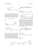 REVERSE AMIDE COMPOUNDS AS PROTEIN DEACETYLASE INHIBITORS AND METHODS OF     USE THEREOF diagram and image