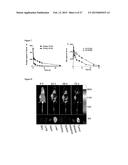 REVERSIBLY CROSSLINKED MICELLE SYSTEMS diagram and image