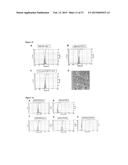 REVERSIBLY CROSSLINKED MICELLE SYSTEMS diagram and image