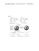 REVERSIBLY CROSSLINKED MICELLE SYSTEMS diagram and image