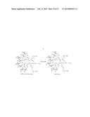 REVERSIBLY CROSSLINKED MICELLE SYSTEMS diagram and image