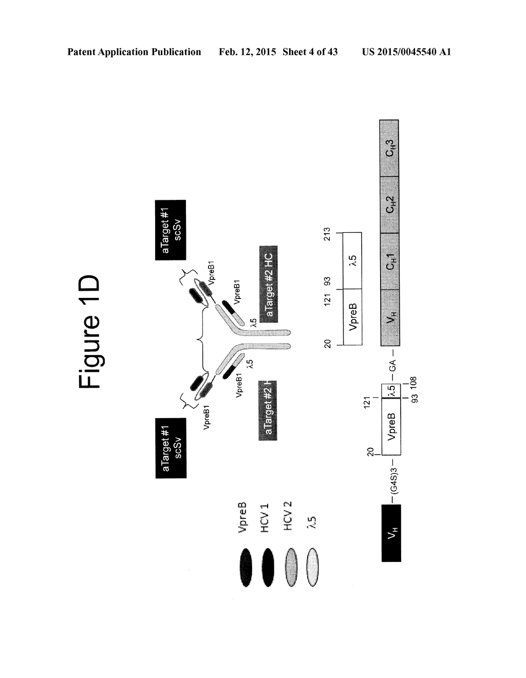 MULTISPECIFIC STACKED VARIABLE DOMAIN BINDING PROTEINS - diagram, schematic, and image 05