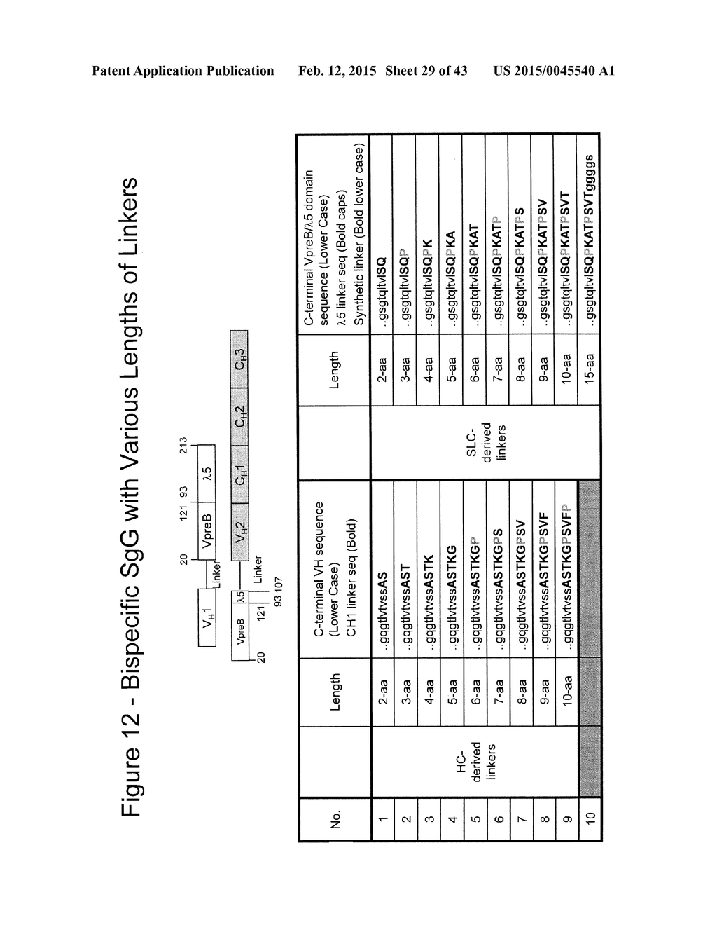 MULTISPECIFIC STACKED VARIABLE DOMAIN BINDING PROTEINS - diagram, schematic, and image 30