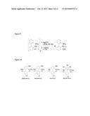 PHOSPHINE-LIGATED PALLADIUM SULFONATE PALLADACYCLES diagram and image