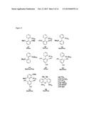 PHOSPHINE-LIGATED PALLADIUM SULFONATE PALLADACYCLES diagram and image