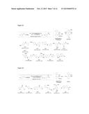 PHOSPHINE-LIGATED PALLADIUM SULFONATE PALLADACYCLES diagram and image