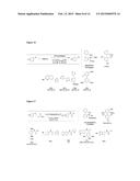 PHOSPHINE-LIGATED PALLADIUM SULFONATE PALLADACYCLES diagram and image