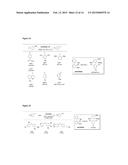 PHOSPHINE-LIGATED PALLADIUM SULFONATE PALLADACYCLES diagram and image