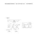 PHOSPHINE-LIGATED PALLADIUM SULFONATE PALLADACYCLES diagram and image