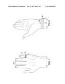 BLOOD FLOW MEASUREMENT SYSTEM BASED ON INDUCTIVE SENSING diagram and image