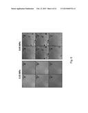 SYSTEMS AND METHODS FOR TARGETED DRUG DELIVERY diagram and image