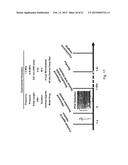 SYSTEMS AND METHODS FOR TARGETED DRUG DELIVERY diagram and image